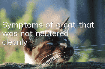 Symptoms of a cat that was not neutered cleanly