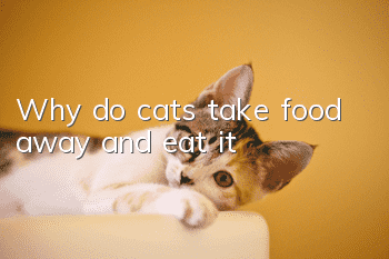 Why do cats take food away and eat it?
