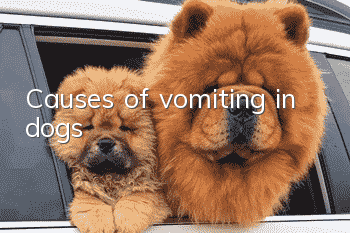 Causes of vomiting in dogs