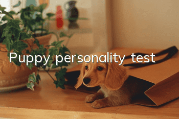 Puppy personality test