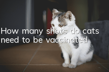 How many shots do cats need to be vaccinated?