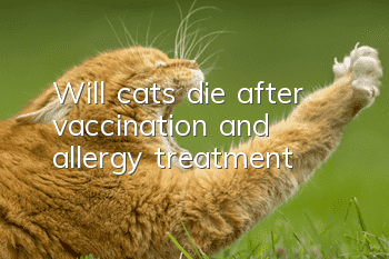Will cats die after vaccination and allergy treatment?