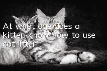 At what age does a kitten know how to use cat litter?