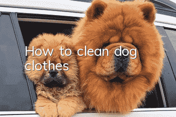 How to clean dog clothes