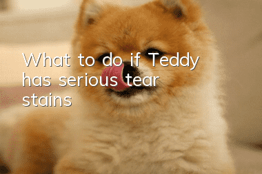 What to do if Teddy has serious tear stains
