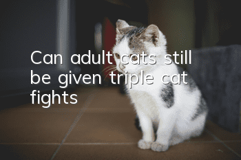 Can adult cats still be given triple cat fights?
