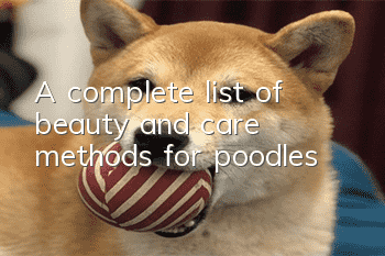 A complete list of beauty and care methods for poodles
