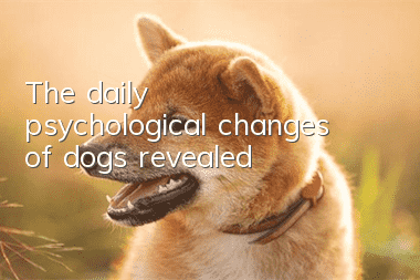 The daily psychological changes of dogs revealed