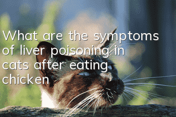 What are the symptoms of liver poisoning in cats after eating chicken?