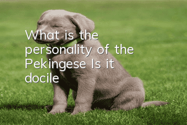 What is the personality of the Pekingese? Is it docile?
