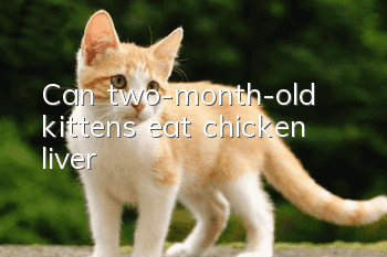Can two-month-old kittens eat chicken liver?