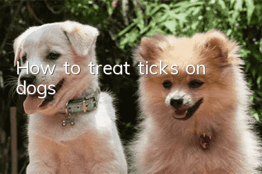 How to treat ticks on dogs