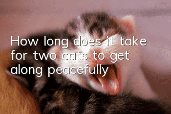 How long does it take for two cats to get along peacefully?