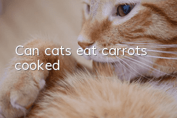 Can cats eat carrots, cooked?