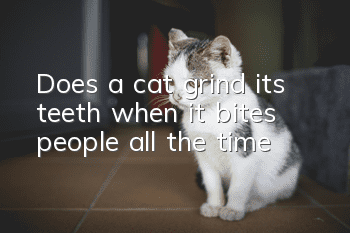 Does a cat grind its teeth when it bites people all the time?
