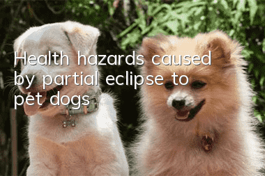 Health hazards caused by partial eclipse to pet dogs