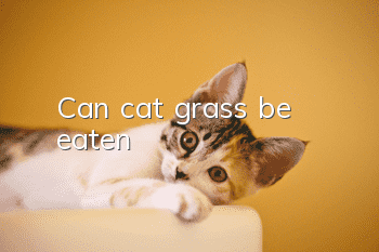 Can cat grass be eaten?