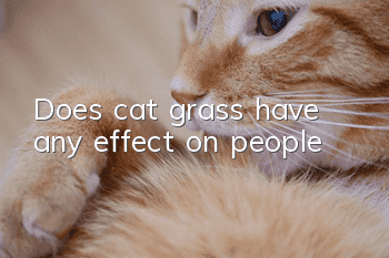 Does cat grass have any effect on people?