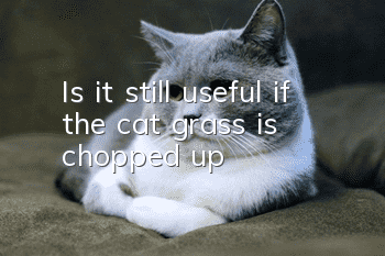 Is it still useful if the cat grass is chopped up?