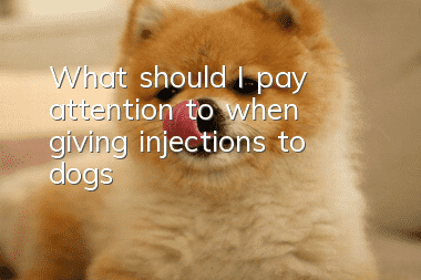 What should I pay attention to when giving injections to dogs?
