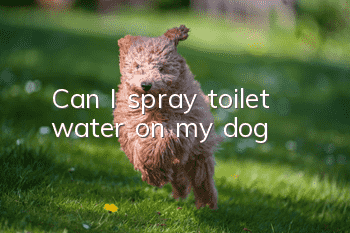 Can I spray toilet water on my dog?
