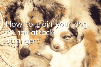 How to train your dog to “not attack strangers”