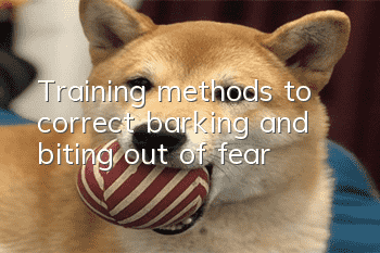 Training methods to correct “barking and biting out of fear”