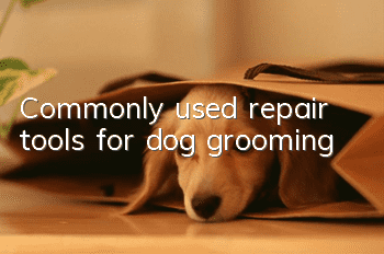 Commonly used repair tools for dog grooming