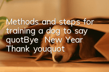 Methods and steps for training a dog to say "Bye | New Year | Thank you"