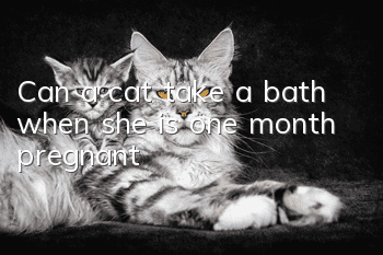 Can a cat take a bath when she is one month pregnant?