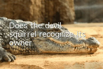 Does the devil squirrel recognize its owner?