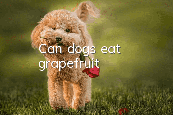 Can dogs eat grapefruit?