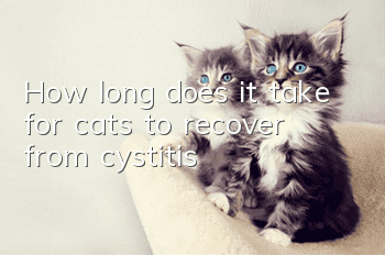 How long does it take for cats to recover from cystitis?