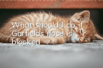 What should I do if Garfield’s nose is blocked?
