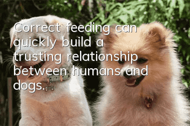 Correct feeding can quickly build a trusting relationship between humans and dogs.