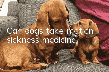 Can dogs take motion sickness medicine?