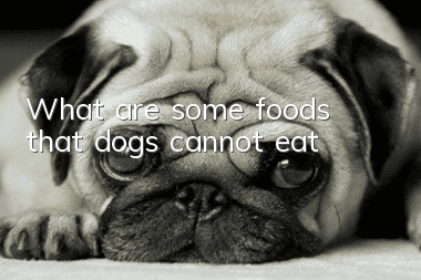 What are some foods that dogs cannot eat?
