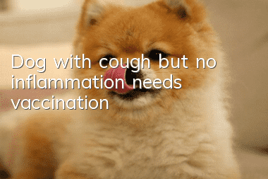 Dog with cough but no inflammation needs vaccination