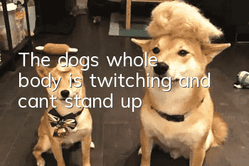 The dog's whole body is twitching and can't stand up