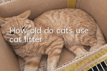 How old do cats use cat litter?