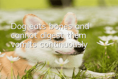 Dog eats bones and cannot digest them, vomits continuously