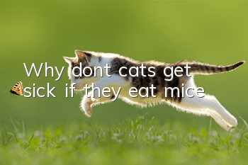 Why don’t cats get sick if they eat mice?
