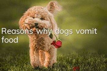 Reasons why dogs vomit food