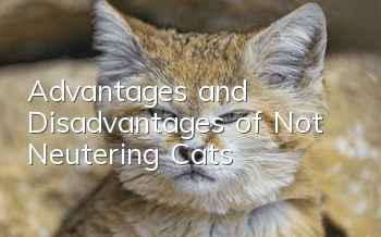 Advantages and Disadvantages of Not Neutering Cats