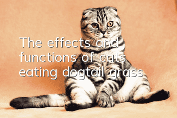 The effects and functions of cats eating dogtail grass