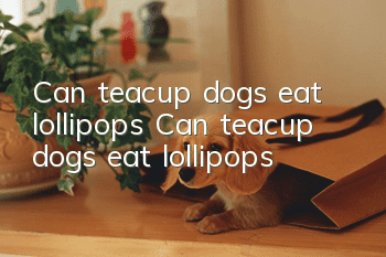 Can teacup dogs eat lollipops? Can teacup dogs eat lollipops?