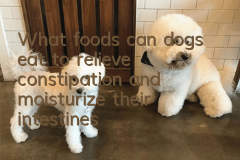 What foods can dogs eat to relieve constipation and moisturize their intestines?