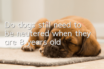 Do dogs still need to be neutered when they are 8 years old?