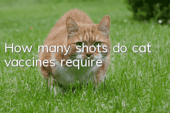 How many shots do cat vaccines require?