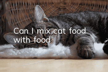 Can I mix cat food with food?